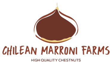 Chilean Marroni Farms